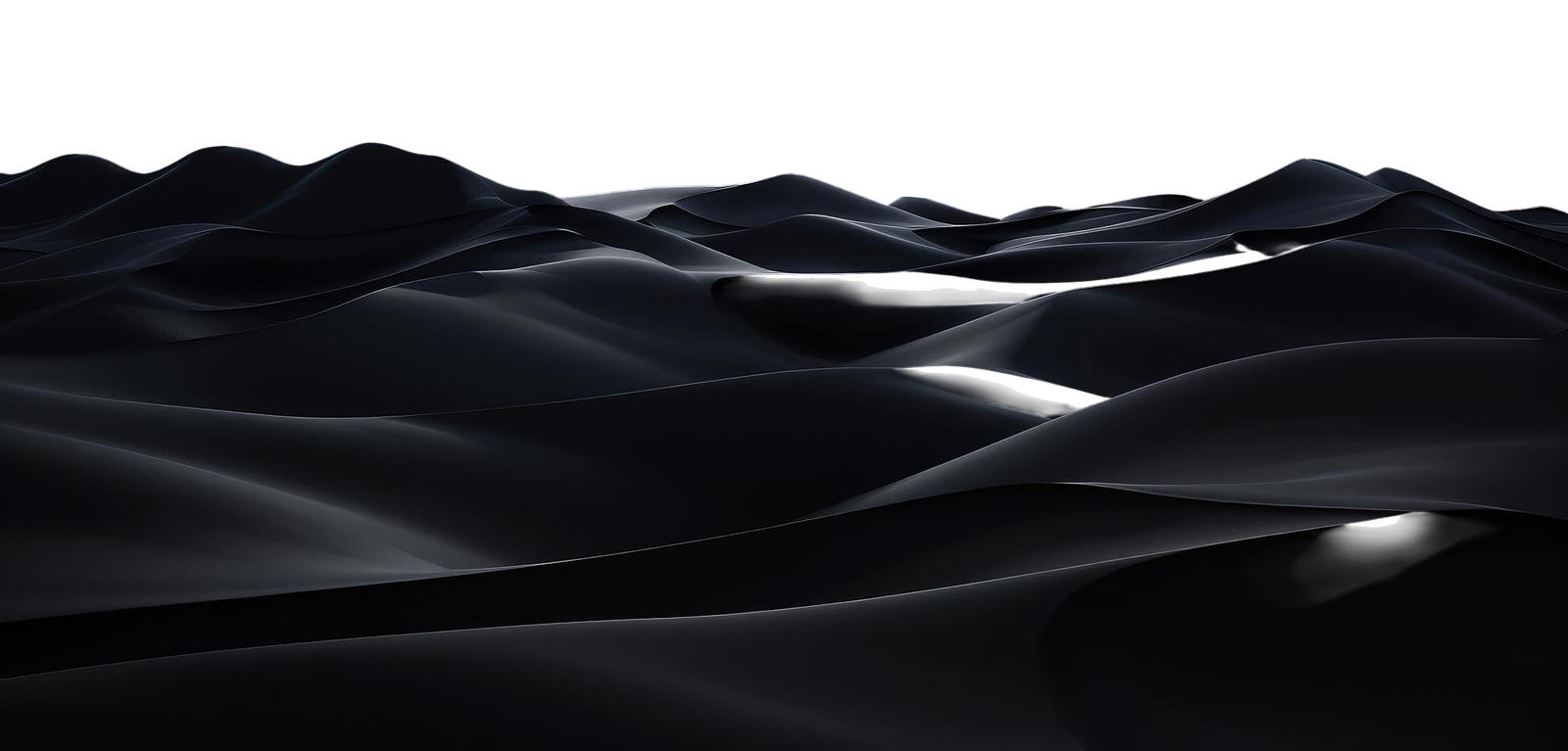 Certified AI Camel Wool & Fiber Technologist (CAI-WFT)